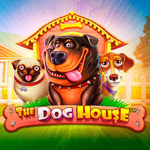 The Dog House: Огляд культового слота, бонуси, демо та правила гри